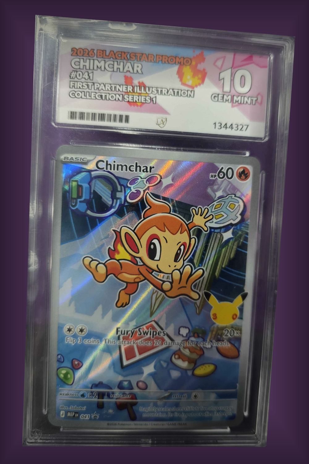 Chimchar 041 - ACE 10