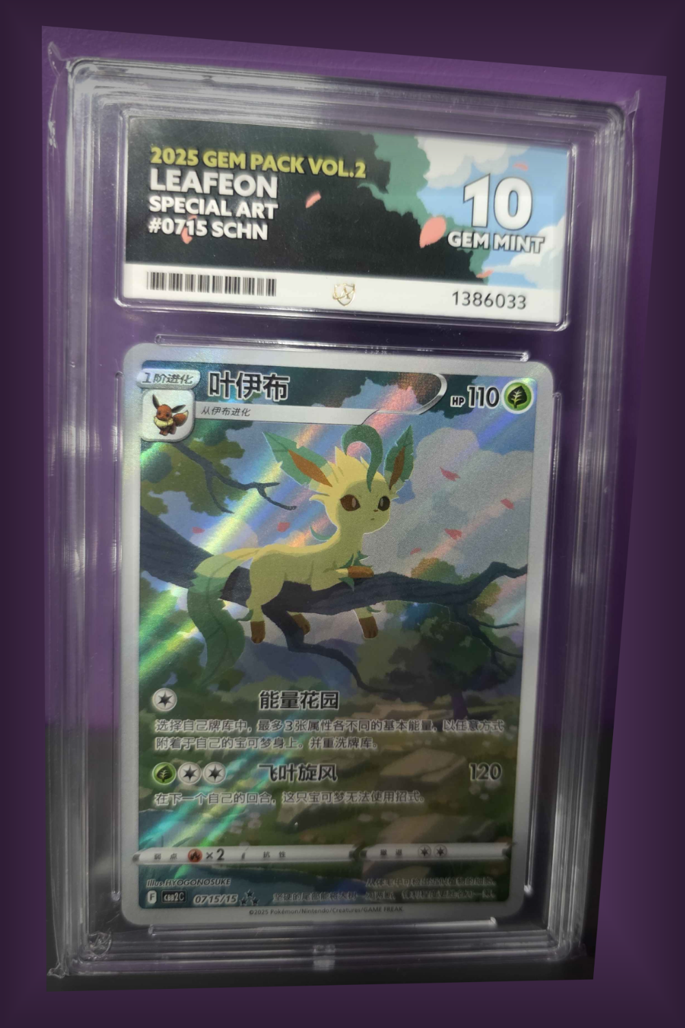 Leafeon 0715 - ACE 10