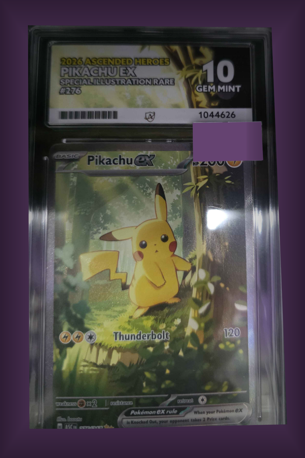 Pikachu 276 - ACE 10